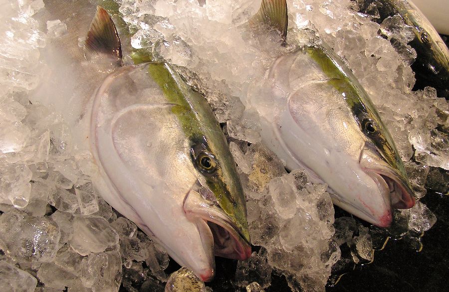 ぶりしゃぶのばんや料理ひみ浜 富山県氷見市